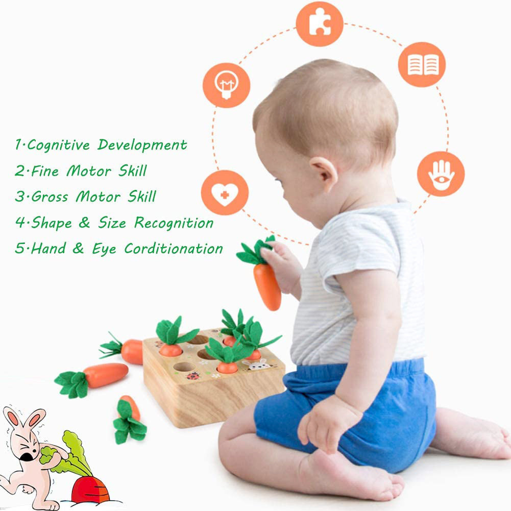 Wooden Montessori Toys for Toddlers, Carrot Shape Size Sorting